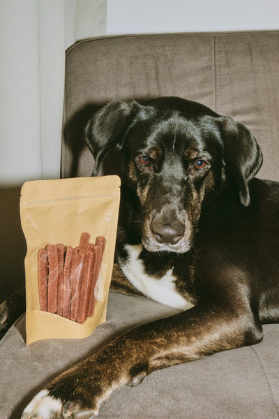 Single-Ingredient vs. Store-Bought Treats: Which Is Best for Your Dog?
