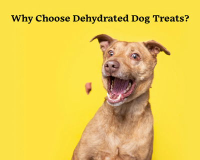 How Dehydrated Dog Treats Are Revolutionizing Pet Nutrition