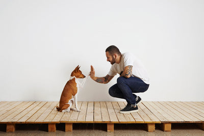 Training Your Dog for the Long Haul: How Healthy Treats Boost Focus and Stamina