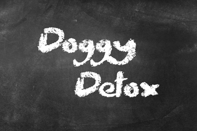 How to Detox a Dog Naturally - Hubert Pet