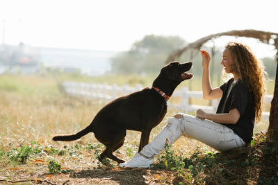 The Importance of Protein in Your Dog’s Diet: Why High-Quality Protein is Essential for Dogs