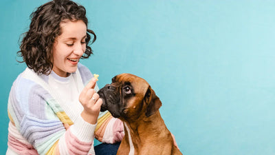 Rewards with Benefits: How Eco-Friendly Dog Treats Keep Your Pup (and the Planet) Healthy