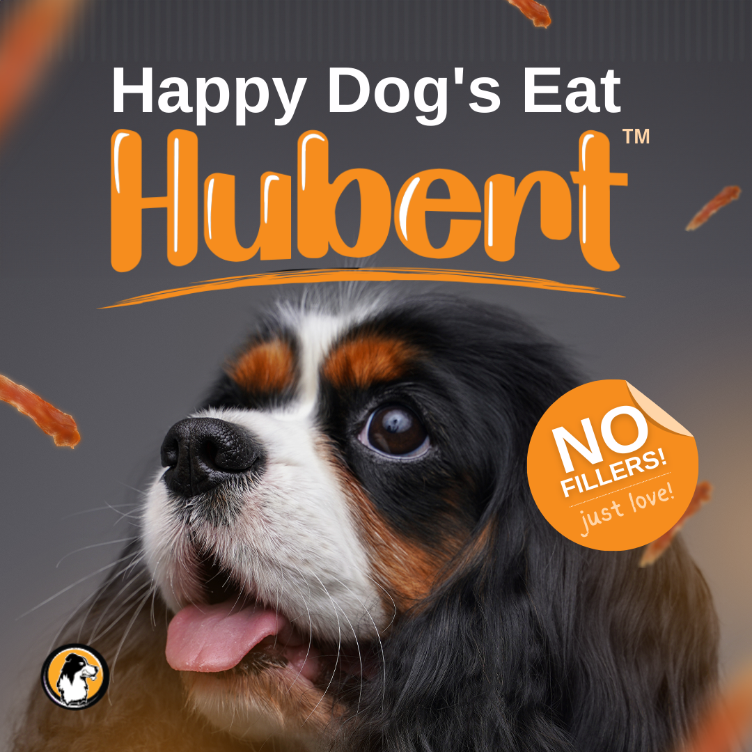 Happy dogs eat Hubert