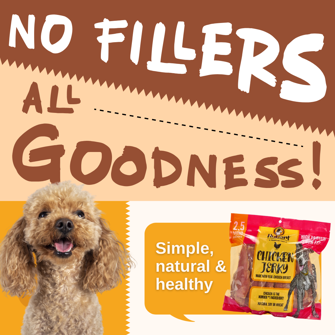 Gourmet All Natural Duck Jerky Treats for Dogs - 1 lb Resealable Pack