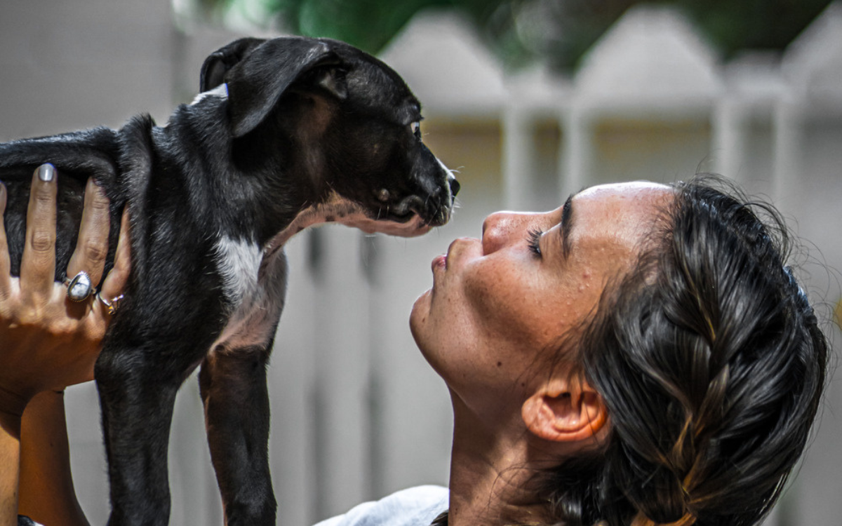 Treats With Purpose: Why One-Size-Fits-All Snacks Don’t Work for Dogs