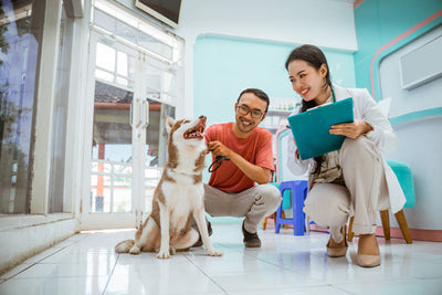 The Best Dog Treats for Weight Management: How to Reward Without Overfeeding