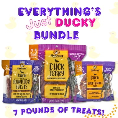 Everything's Just Ducky Bundle - 3 Pack